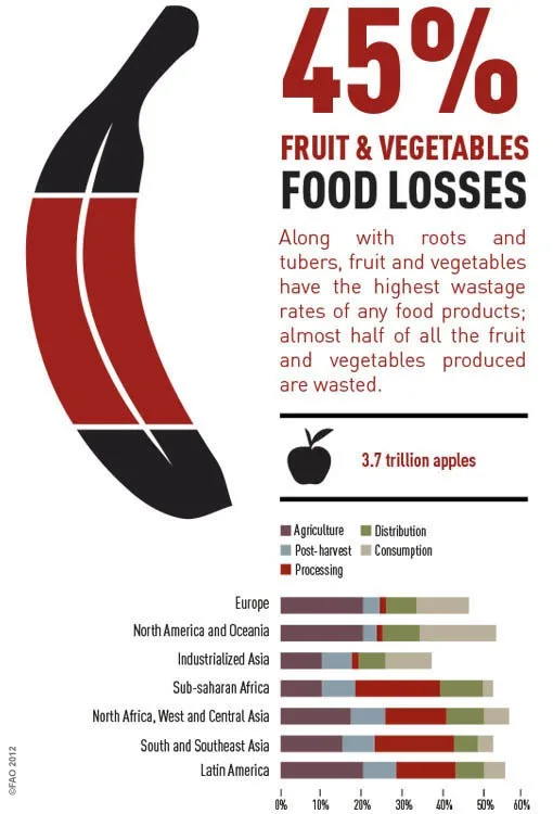 World Fruit & Vegetable Waste