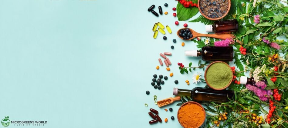 Food as Medicine