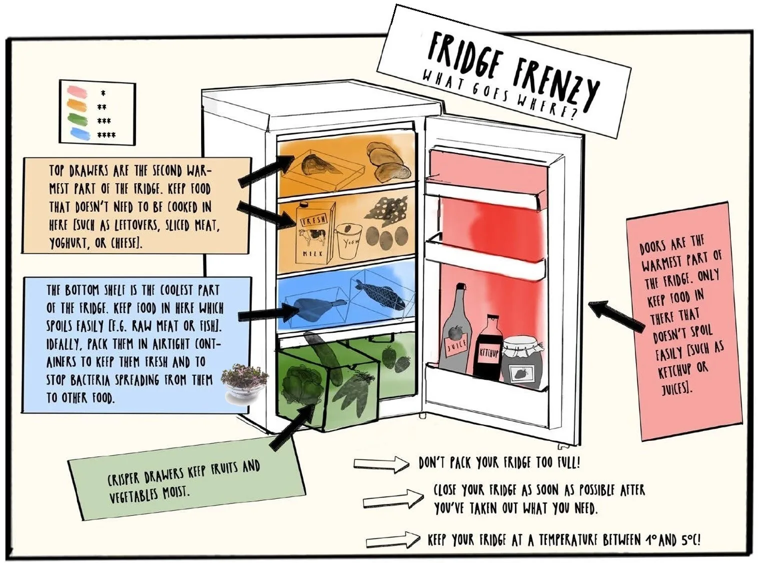 Where to place food in your fridge
