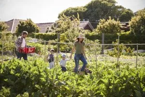 The Grow-Your-Own-Food Movement Is Becoming Big Business