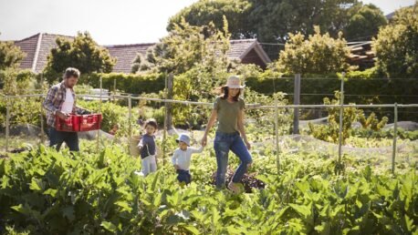 The Grow-Your-Own-Food Movement Is Becoming Big Business