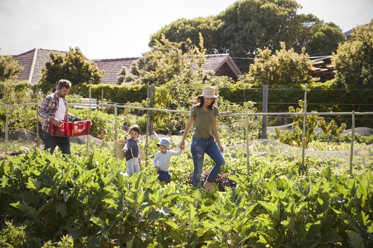 The Grow-Your-Own-Food Movement Is Becoming Big Business