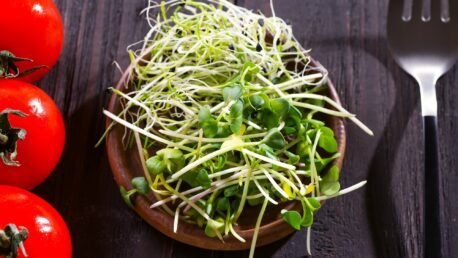 Microgreen Salad with Tahini Dressing