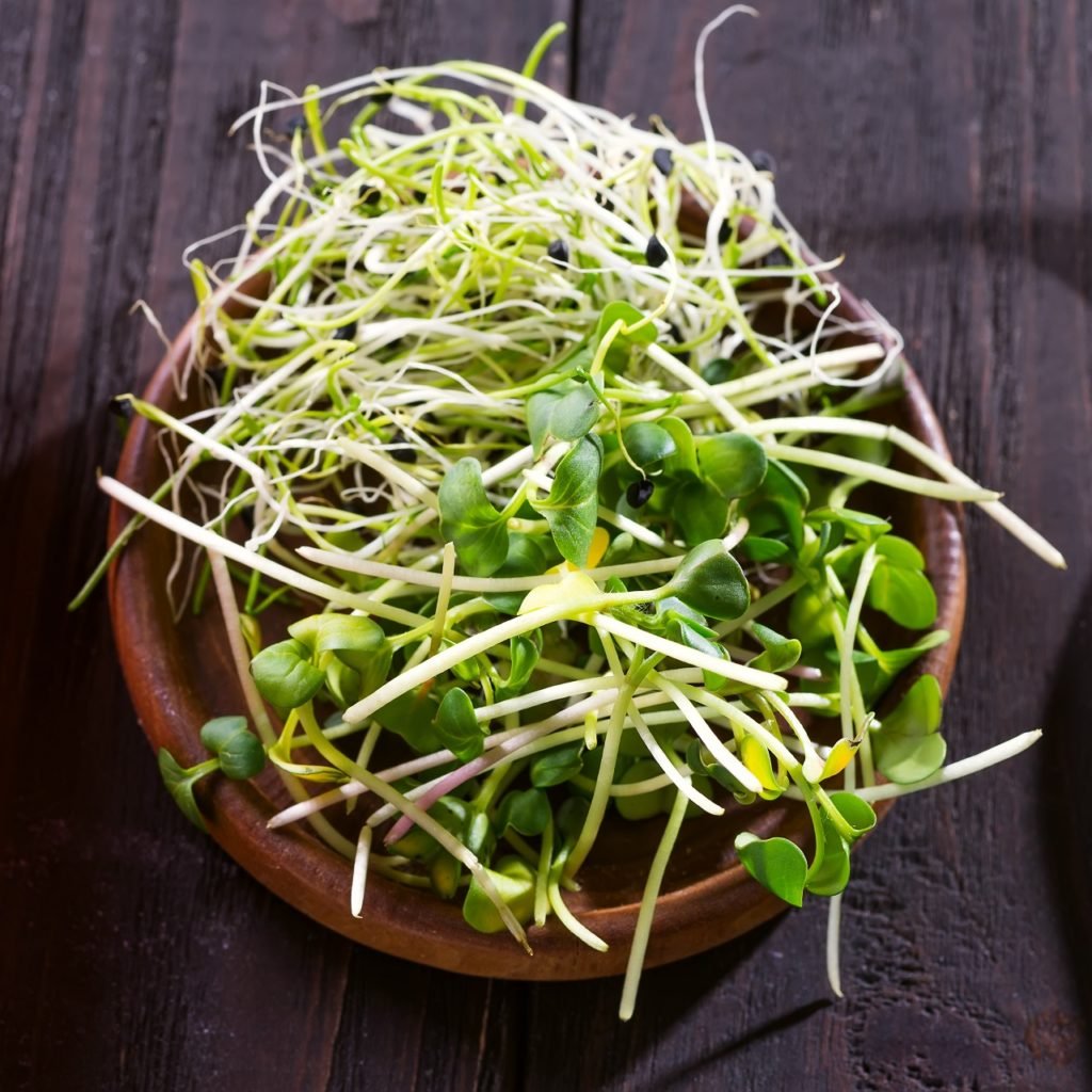 Broccoli Microgreens Nutrition Everything You Need To Know