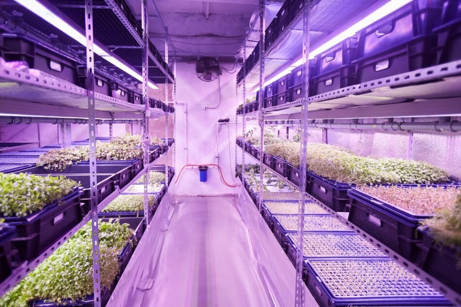 Microgreens Airflow