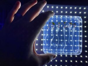 Microgreens On The International Space Station