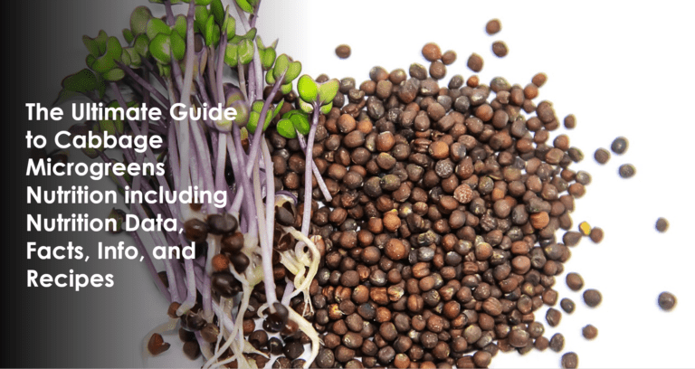 Cabbage Microgreens Nutrition