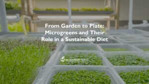 Microgreens Farm and Their Role in a Sustainable Diet
