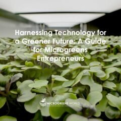 Harnessing Technology for a Greener Future