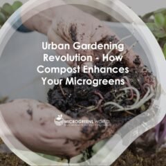 How Compost Enhances Your Microgreens