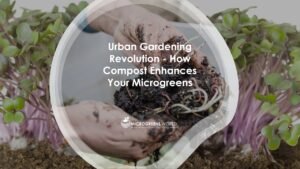 How Compost Enhances Your Microgreens