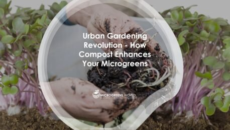 How Compost Enhances Your Microgreens