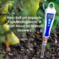 How Soil pH Impacts Your Microgreens
