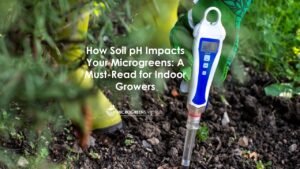 How Soil pH Impacts Your Microgreens