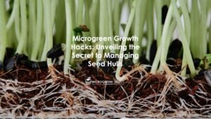 Microgreen Growth Hacks - Unveiling the Secret to Managing Seed Hulls