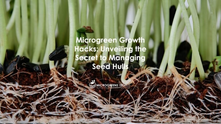 Microgreen Growth Hacks - Unveiling the Secret to Managing Seed Hulls