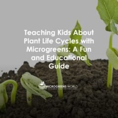 Microgreens and the Life Cycle of Plant