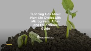 Microgreens and the Life Cycle of Plant