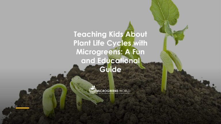 Microgreens and the Life Cycle of Plant