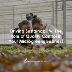 The Role of Quality Control in Your Microgreens Business