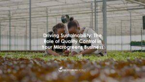 The Role of Quality Control in Your Microgreens Business