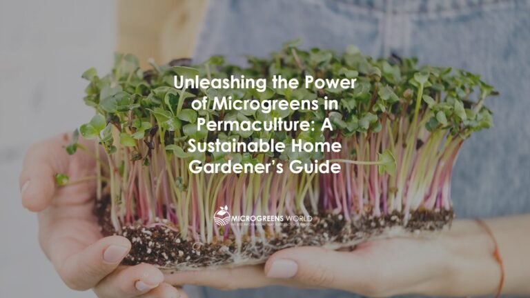 Unleashing the Power of Microgreens in Permaculture