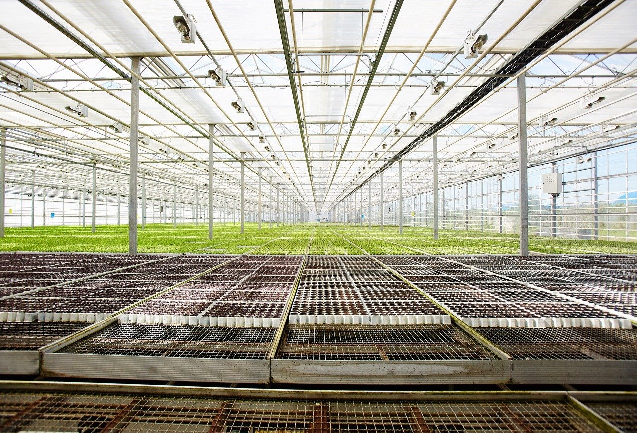 Sustainable Indoor Growing