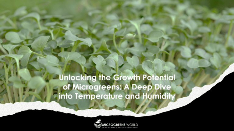 Optimal Temperature and Humidity When Growing Microgreens