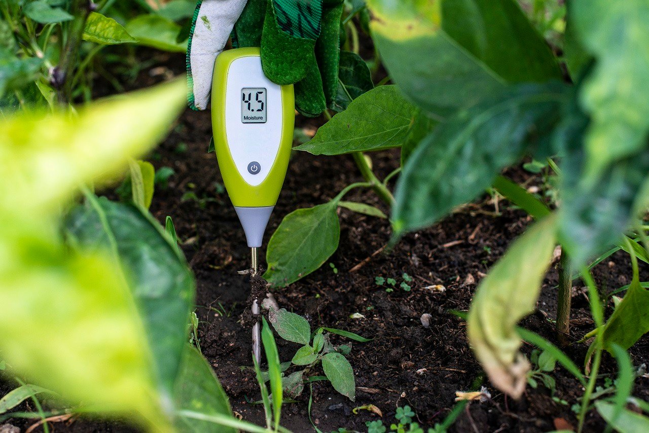 Microgreens Temperature & Humidity Tester