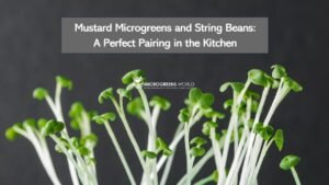 Mustard Microgreens and String Beans: A Perfect Pairing in the Kitchen