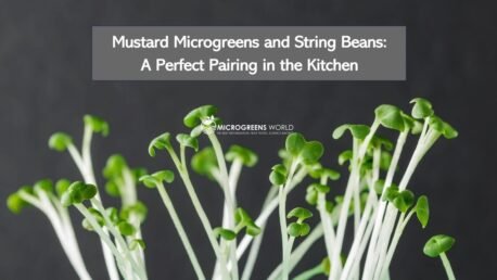 Mustard Microgreens and String Beans: A Perfect Pairing in the Kitchen