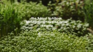 What Microgreens To Grow
