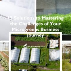 13 Solutions to Mastering the Challenges of Your Microgreens Business Journey