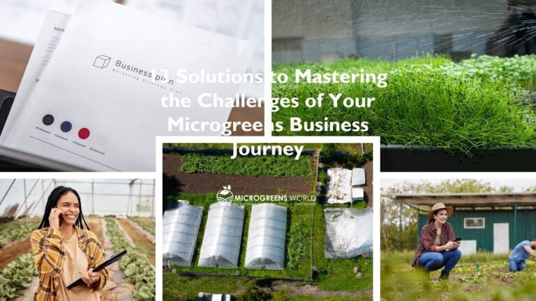 13 Solutions to Mastering the Challenges of Your Microgreens Business Journey