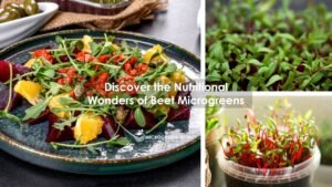 Beet Microgreens Nutrition