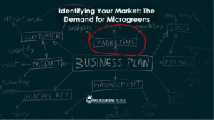 Identifying Your Market: The Demand for Microgreens