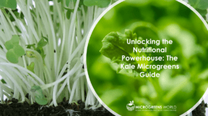 Kale Microgreens Nutrition
