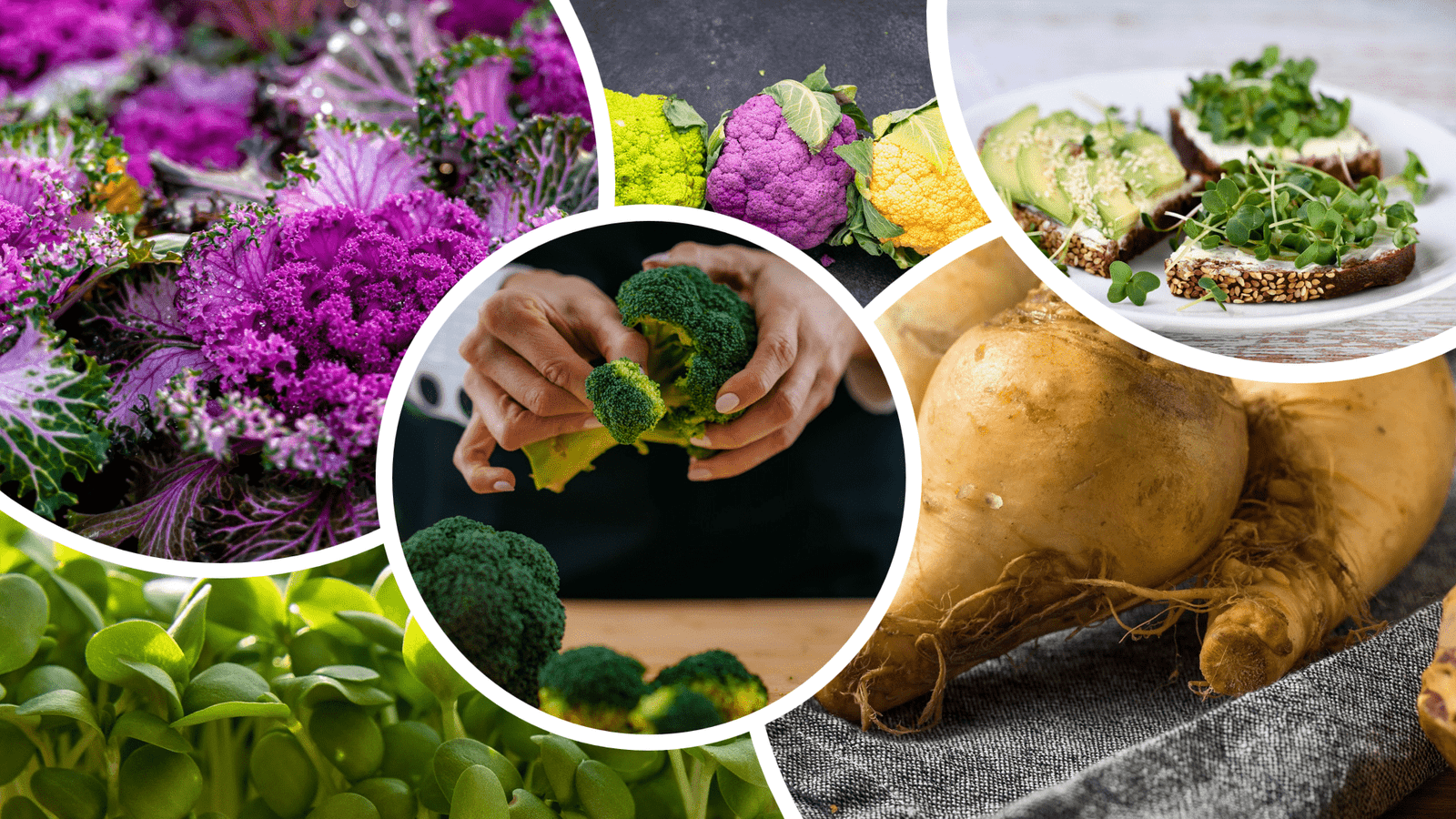 Unveiling the Power of Microgreens and Phytonutrients
