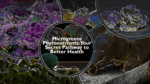 Microgreens Phytonutrients: Your Secret Pathway to Better Health