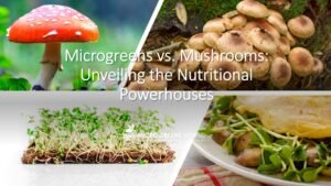 Microgreens vs Mushrooms