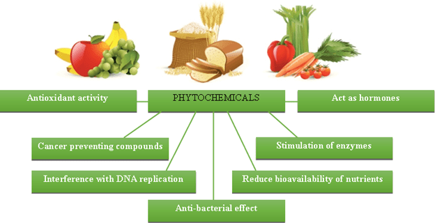 A diagram of food products and their phytochemical attributes