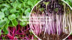 Radish Microgreens Nutrition close up
