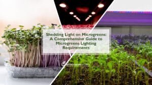 Understanding Microgreens Light Requirements