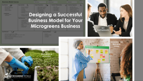 Designing a Successful Business Model for Your Microgreens Business