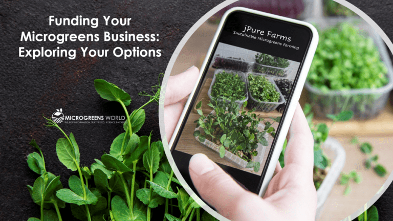 Funding Your Microgreens Business: Exploring Options
