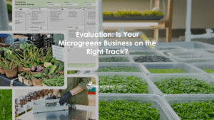 Evaluation: Is Your Microgreens Business on the Right Track?