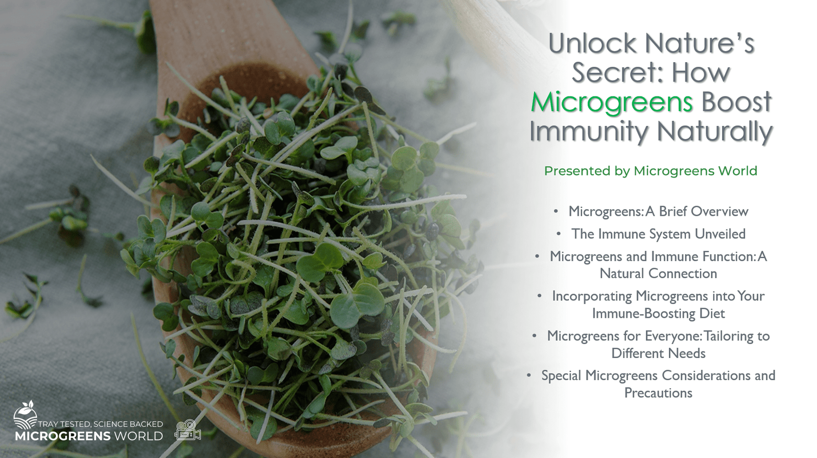 Unlock Nature’s Secret: How Microgreens Boost Immunity Naturally