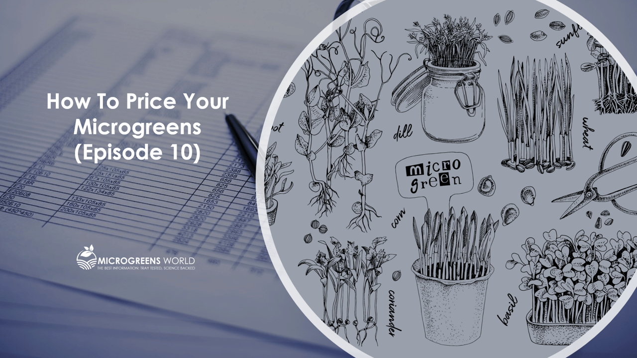 How to Price Your Microgreens (Episode 10)