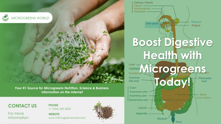 Boost Digestive Health with Microgreens Today!