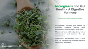 Microgreens and Gut Health - A Digestive Harmony